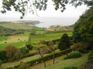 2014-05-17 16h28 vue sur Porto Formoso depuis la plantation de thé de Gorreana côte Nord Sao Miguel Açores
